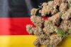 Eine Sammlung getrockneter Cannabisknospen vor dem Hintergrund der Farben der deutschen Flagge: Schwarz, Rot und Gelb, die einen avantgardistischen Ansatz im Bereich Humanressourcen symbolisieren.