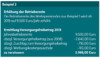 Eine Infografik mit dem Titel „Beispiel 2“ zum Thema Rentenerhöhungen. Darin wird die Erhöhung der Betriebsrente 2019 auf 9.500 Euro jährlich erläutert und die Berechnungen zur Ermittlung der steuerpflichtigen Bemessungsgrundlage aufgeführt, die sich auf 5.966,00 Euro ergibt, die versteuert werden müssen.