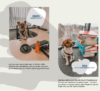 Linkes Bild: Ein kleiner Hund im Pullover sitzt auf einem Bürostuhl vor einem Computer und verkörpert den Geist von „Vier Pfoten im Büro“. Rechtes Bild: Ein weiterer kleiner Hund schaut aus einem Fenster neben bunten Ordnern. Im Text werden Enzo, der „Pawject Manager“, und Mia, die „Leiterin von Pawformance Reviews“, erwähnt.