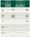Eine komplexe Tabelle, die verschiedene Payroll-Tools und -Lösungen verschiedener Unternehmen zeigt, mit Häkchen, die bestimmte Kompetenzen in mehreren Kategorien anzeigen. Die Tabelle wird auf Deutsch angezeigt. Das Layout enthält Überschriften und mehrere Zeilen und Spalten für einen einfachen Vergleich.